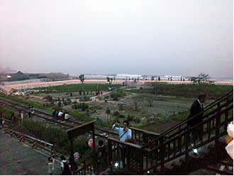 shimao20110707_8.jpg